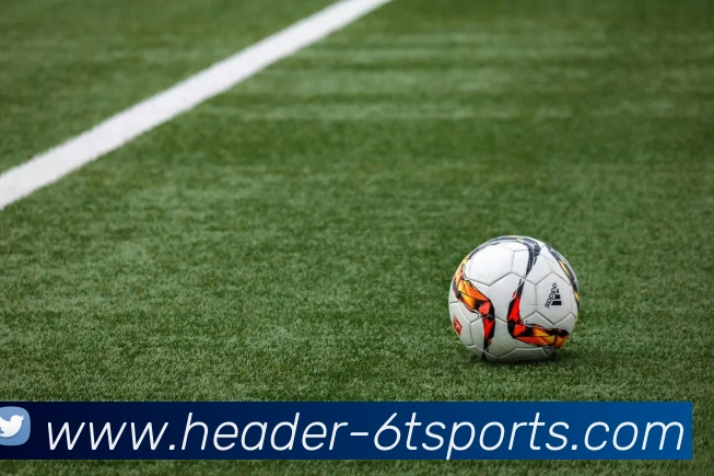 6T体育平台生态图